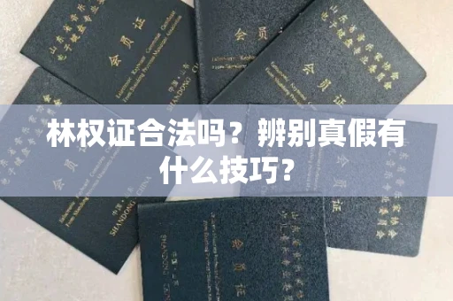 温州林权证合法吗?辨别真假有什么技巧?